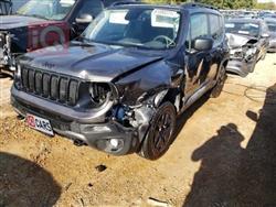 جيب رينيجيد